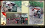 لشکر ۱۰ سیدالشهدا (ع) / عملیات والفجر 8
